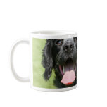 English Springer Spaniel mugs