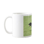 English Springer Spaniel mugs