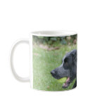 English Springer Spaniel mugs