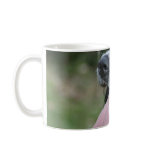 English Springer Spaniel mugs