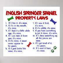 ENGLISH SPRINGER SPANIEL PL2 POSTERS