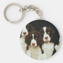 English Springer Spaniel Puppies (2) Key Chain