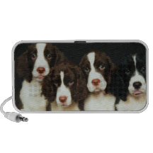 English Springer Spaniel Puppies (2) Travelling Speaker