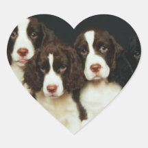 English Springer Spaniel Puppies (2) Sticker