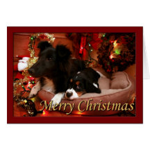 English Springer Spaniel, Springer Spaniel, Spanie Card