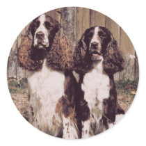 English Springer Spaniel Stickers