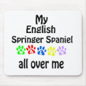 English Springer Spaniel Walks Design mousepads