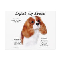 English Toy Spaniel (blenheim) History Design