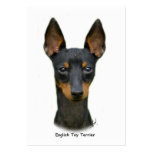 English Toy Terrier 9R095D-013 business cards