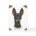 English Toy Terrier 9R095D-013 cards