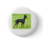English Toy Terrier 9R095D-062 buttons