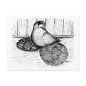 English Trumpeter Line Drawing postcards