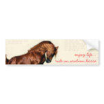 enjoy life...ride an arabian horse bumper stickers