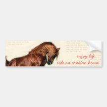 enjoy life...ride an arabian horse bumper stickers