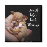 Enjoy Life's Little Blessings Refrigerator Magnet