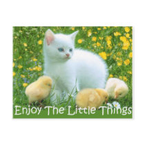Enjoy The Little Things Cute Animals Postcard