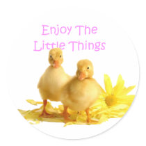 Enjoy The Little Things, Ducklings Round Stickers