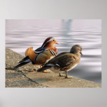 Enjoying a quiet evening! print