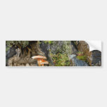 ENT BUMPER STICKERS