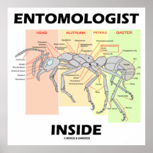 Entomologist Inside (Ant Worker Anatomy) Print