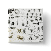 Entomology, Myriapoda and Arachnida Pins