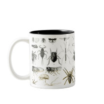 Entomology, Myriapoda and Arachnida Coffee Mugs