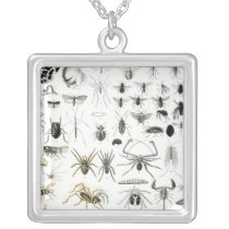 Entomology, Myriapoda and Arachnida Personalized Necklace