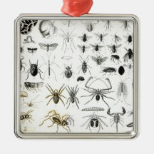 Entomology, Myriapoda and Arachnida Christmas Tree Ornaments