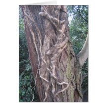 Entwined Card