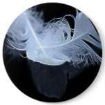 Entwined feathers are symbolic of mysticism buttons