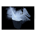 Entwined feathers are symbolic of mysticism cards