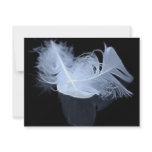 Entwined feathers are symbolic of mysticism invitations