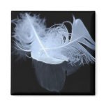 Entwined feathers are symbolic of mysticism magnets