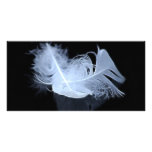 Entwined feathers are symbolic of mysticism photo cards