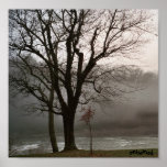 entwined posters