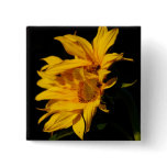 Entwined sunflowers buttons