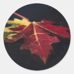 Envelope Seals: Dark Autumn Stickers