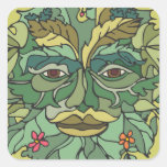 Environmentalist, Tree Hugger Stickers