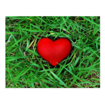 Environmentally friendly love - Postcard