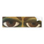 EnvyCynic Bumpersticker Bumper Stickers