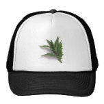 Epazote Mesh Hats