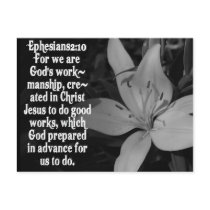 EPHESIANS 2:10 BIBLE SCRIPTURE QUOTE POSTCARDS
