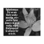 EPHESIANS 2:10 BIBLE SCRIPTURE QUOTE POSTCARDS