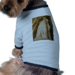 Ephesus - Celsus Library - statue of Sophia pet clothing