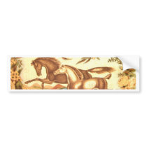 Equestrian Horse Bumper Stickers