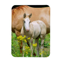 Equine Art Premium Magnet