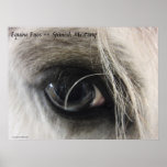 Equine Eyes -- Spanish Mustang Posters