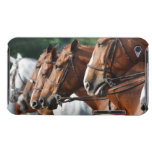 Equine Horse Show iTouch Case iPod Case-Mate Case
