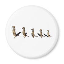 Erdmännchen in Reihe Kühlschrankmagnet