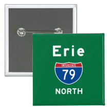 Erie 79 pins